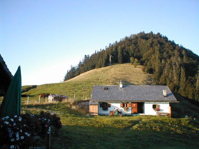 Appartements Ferienwohnungen Alpenblick Faistenau Luaran gambar