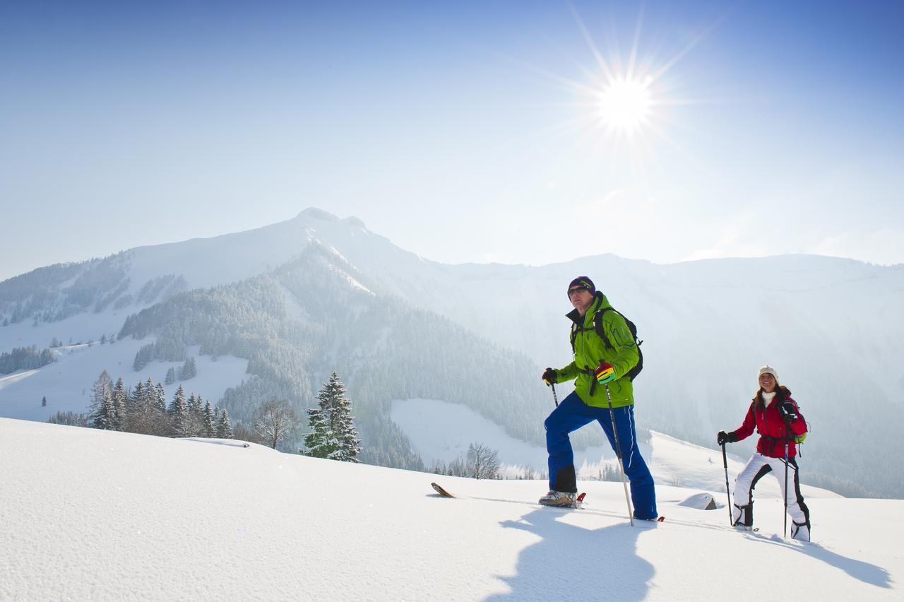 Appartements Ferienwohnungen Alpenblick Faistenau Luaran gambar