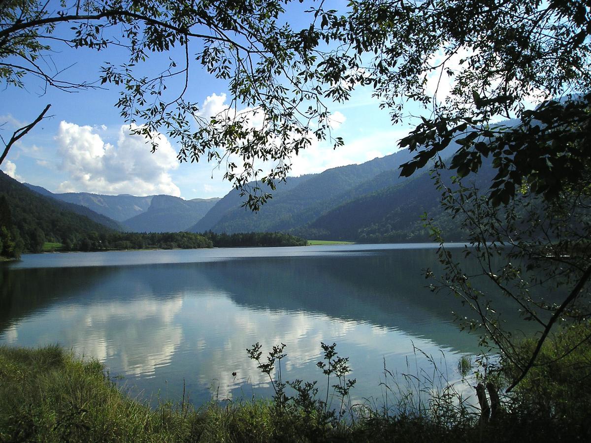 Appartements Ferienwohnungen Alpenblick Faistenau Luaran gambar